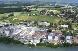 爱游戏体育- 浓眉哥最新伤势 